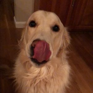 Meet your Posher, Alivia